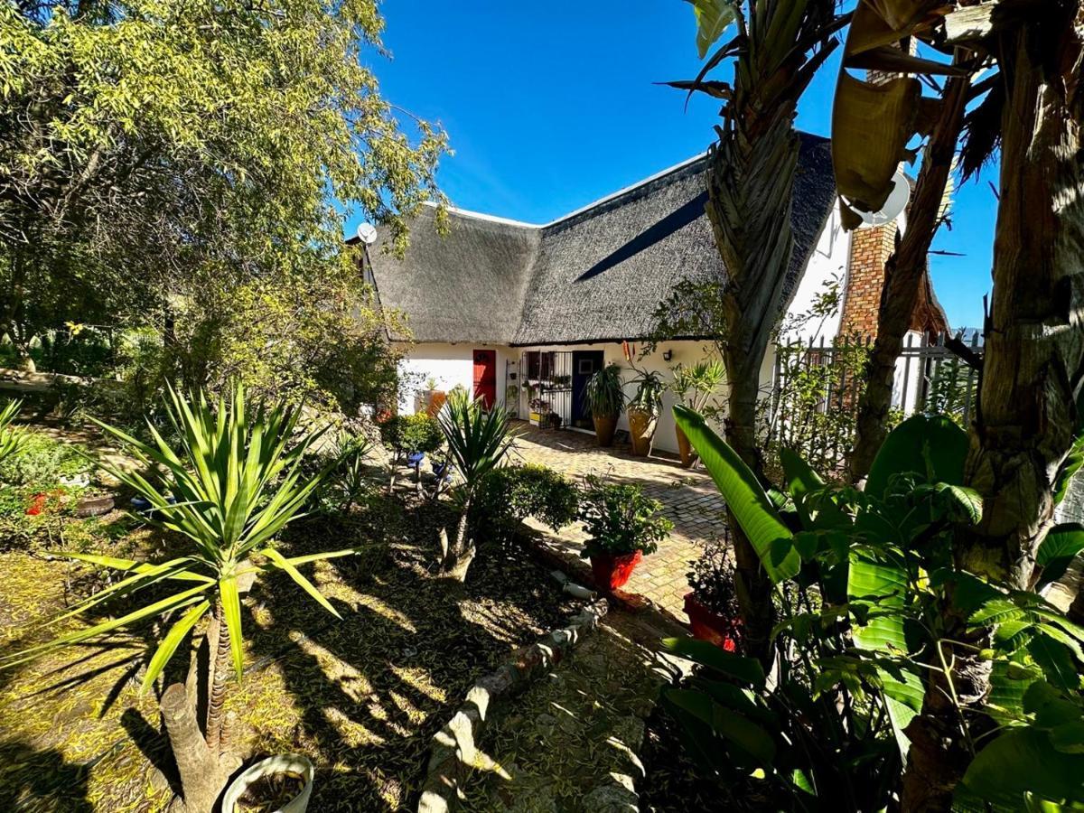 Bed and Breakfast A State Of Grace à Clanwilliam Extérieur photo